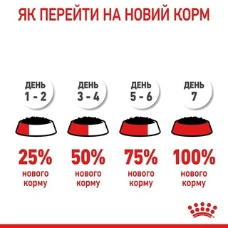 ПАК. Вологий корм для дорослих котів Royal Canin HAIR&amp;amp;SKIN IN JELLY (Желе) підтримка здоров'я шкіри та шерсті 12шт по 85 г