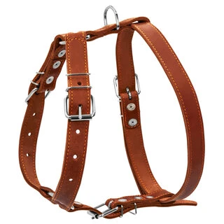 Шлея "CoLLaR" одинарна (ширина 25мм, А:49-68см, В:68-80см), коричнева