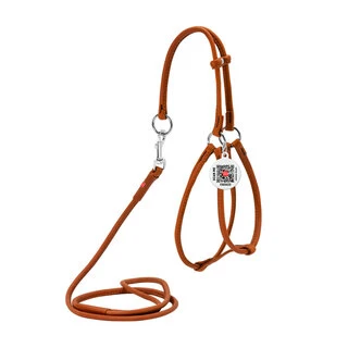 Шлея с поводком для собак кожаная WAUDOG Soft c QR паспортом, круглая, Д 6 мм, А 26-46 см, В 30-40 см, коричневый