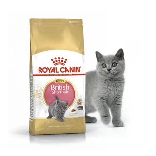 Сухой корм для котят породы британская короткошерстная до 12 месяцев Royal Canin British Shorthair Kitten 400 г