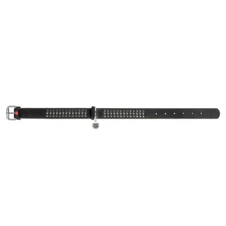 Нашийник для собак шкіряний WAUDOG Soft з QR паспортом, металеві прикраси, Ш 3,5 см, Дл 57-71 см