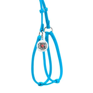 Шлея з повідцем для собак шкіряна WAUDOG Glamour з QR паспортом, кругла, Д 6 мм, А 42-60 см, В 46-64 см, блакитна