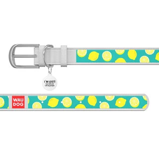 Ошейник WAUDOG Design с рисунком "Лимоны", премиум кожа, металлическая пряжка (ширина 15 мм, длина 27-36 см), белый