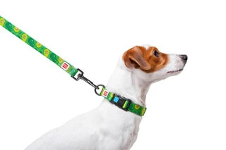 Повідок для собак нейлоновий WAUDOG Nylon, малюнок "Авокадо", Ш 20 мм, Дл 122 см