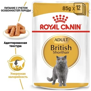 ПАК. Вологий корм Royal Canin BRITISH SHORTHAIR ADULT для дорослих кішок Британської породи 12шт по 85 г