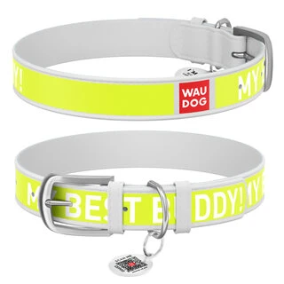 Ошейник WAUDOG Design с рисунком &quot;Друг&quot;, премиум кожа, металлическая пряжка (ширина 12 мм, длина 21-29 см), белый