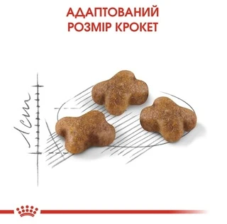 Сухий корм Royal Canin Kitten для кошенят від 4 до 12 місяців 4 кг