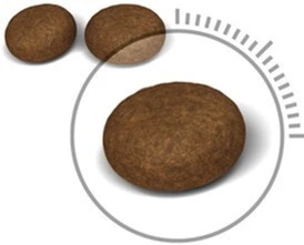 Сухой корм для котов от для заботы о коже и шерсти Royal Canin Hair &amp;amp; Skin Care 4 кг