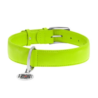Нашийник для собак шкіряний WAUDOG Glamour з QR паспортом, без прикрас, Ш 35 мм, Дл 46-60 см, салатовий