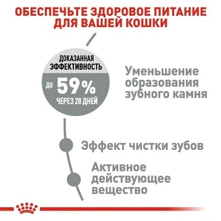 Сухий корм Royal Canin DENTAL CARE для дорослих котів, профілактика утворення зубного нальоту та формування зубного каменю 400 г