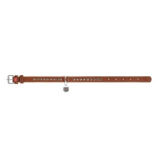 Нашийник для собак шкіряний WAUDOG Soft з QR паспортом, металеві прикраси, Ш 20 мм, Дл 30-37 см