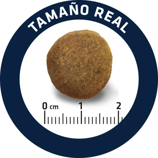 Сухий корм для дорослих німецьких вівчарок Advance Dog Maxi German Shepherd 12 кг (8410650171579)