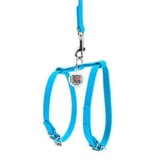 Шлея з повідцем для собак шкіряна WAUDOG Glamour з QR паспортом, Ш 9 мм, А 20-30 см, В 30-40 см, блакитна