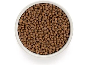 Сухой корм для стерилизованных кошек Grandorf FOUR MEAT STERILISED 4 вида мяса с пробиотиками, 400 г