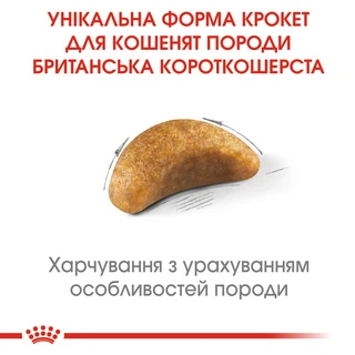 Сухий корм для кошенят Royal Canin Kitten British Shorthair 2 кг