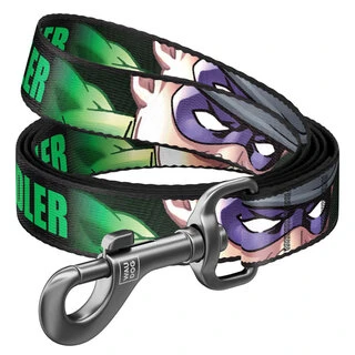 Поводок для собак нейлоновый WAUDOG Nylon, рисунок "Загадочник", Ш 10 мм, Дл 122 см