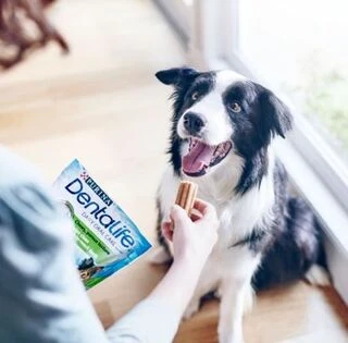 Лакомство Purina Dentalife Medium для поддержания здоровья полости рта взрослых собак средних пород 6x115g