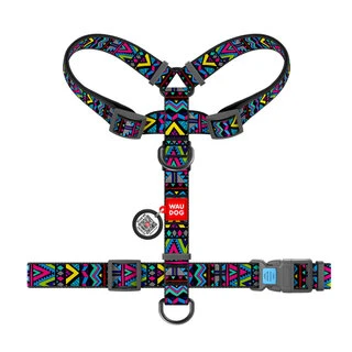 Анатомічний H-образний нашийник для собак WAUDOG Nylon з QR-паспортом, малюнок "Інді", пластиковий фастекс, М, Ш 20 мм, А 40-70, В 50-80