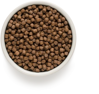 Сухой корм для собак малых пород Grandorf Turkey &amp;amp; Brown Rice Adult Mini Breeds с индейкой и бурым рисом 3 кг