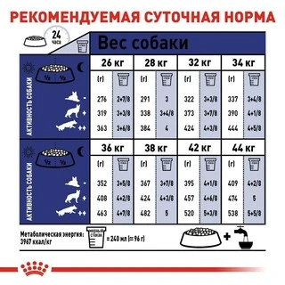 Сухий корм Royal Canin MAXI ADULT для дорослих собак Великих порід 4 кг