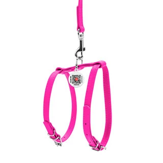 Шлея з повідцем для собак шкіряна WAUDOG Glamour з QR паспортом, Ш 9 мм, А 20-30 см, В 30-40 см, рожевий