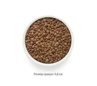 Корм сухой для взрослых кошек больших пород Grandorf FRESH LAMB &amp;amp; SWEET POTATO ADULT LARGE CAT ягненок с бататом, 400 г