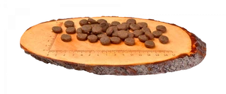 Сухий корм для цуценят великих порід Carnilove Salmon &amp; Turkey Large Breed Puppy 1.5 кг (8595602508853)