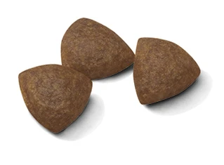 Сухой корм для собак Royal Canin Medium Starter в период беременности и щенков средних пород до 2 месяцев 1 кг