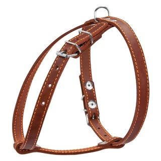 Шлея "CoLLaR" одинарна для дрібних собак (ширина 14мм, А:40-48см, В:43-51см), коричнева