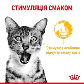 ПАК. Вологий корм Royal Canin SENSORY TASTE GRAVY (Соус) для дорослих котів вибагливих у харчуванні 12 шт по 85 г