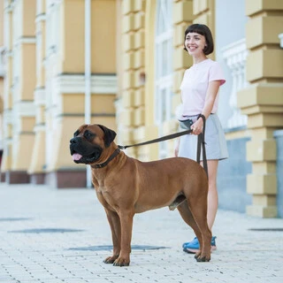 Поводок "EVOLUTOR" (ширина 25 мм, довжина 210 см), чорний