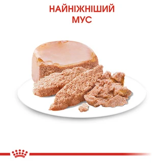 ПАК.Влажный корм для новорожденных собак Royal Canin Starter Mouse 6 шт по 195 г