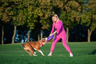 Тренувальний снаряд для собак PULLER Мaxi, діаметр 30см