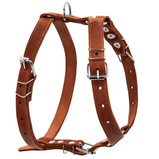 Шлея &quot;CoLLaR&quot; одинарная  (ширина 25мм, А:49-68см, В:68-80см), коричневый