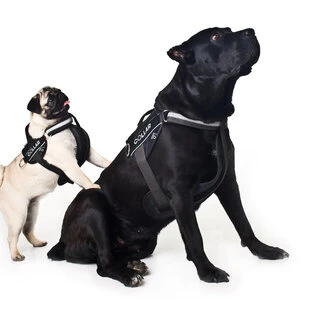 Шлея "Dog Extremе" "POLICE" №2 (В:40-60см), черный