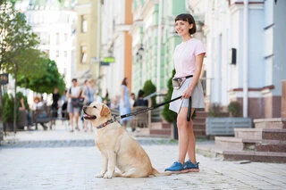 Нашийник для собак шкіряний WAUDOG Design з QR паспортом, малюнок "Пончики", Ш 35 мм, Дл 46-60 см, чорний