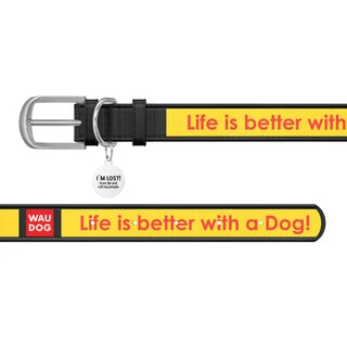 Ошейник WAUDOG Design с рисунком "Лучшая жизнь", премиум кожа, металлическая пряжка (ширина 25 мм, длина 38-49 см), черный