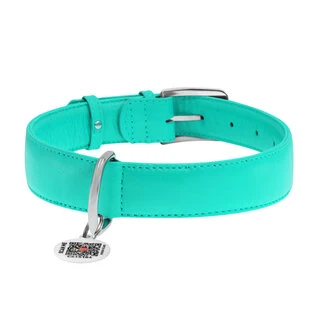 Нашийник для собак шкіряний WAUDOG Glamour з QR паспортом, без прикрас, Ш 35 мм, Дл 46-60 см, ментоловий
