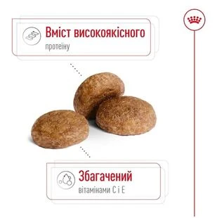 Сухой корм для пожилых собак средних пород Royal Canin Medium Adult 7+ для собак старше 7 лет 15 кг