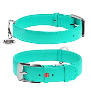 Нашийник для собак шкіряний WAUDOG Glamour з QR паспортом, без прикрас, Ш 35 мм, Дл 46-60 см, ментоловий