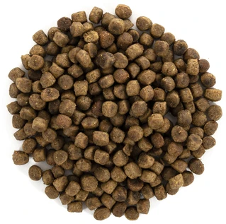 Сухий корм для кошенят Brit Care Cat GF Kitten Growth &amp; Developmen з куркою та індичкою 2 кг