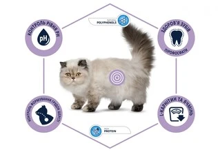 Сухой корм Advance Cat Sterilized Hairball для выведения шерсти у стерилизованых котов с индейкой 10 кг