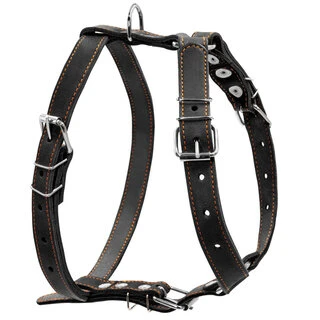 Шлея &quot;CoLLaR&quot; одинарная  (ширина 25мм, А:49-68см, В:68-80см), черный