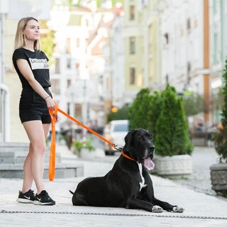 Поводок для собак "EVOLUTOR" (ширина 25 мм, довжина 120 см), НАЙБІЛЬШИЙ МІЦНИЙ ПОВІДОК, оранжевий