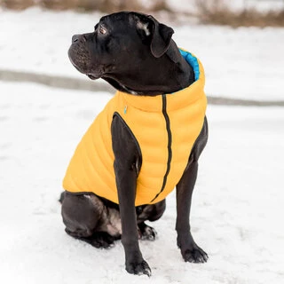 Двусторонняя курточка AiryVest для собак "Colors of freedom", размер L 55