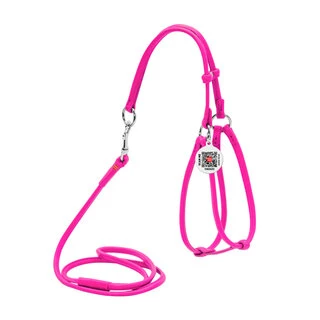 Шлея с поводком для собак кожаная WAUDOG Glamour c QR паспортом, круглая, Д 6 мм, А 42-60 см, В 46-64 см, розовый
