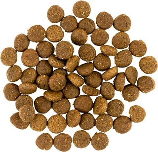 Сухий корм для цуценят Savory зі свіжим м'ясом індички та курки 1 кг