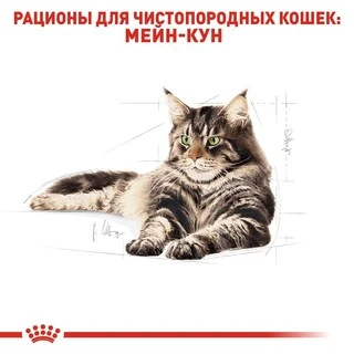 ПАК.Вологий корм Royal Canin MAINECOON ADULT для дорослих кішок породи Мейн Кун 12 шт по 85 г