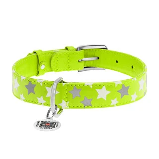 Нашийник для собак шкіряний WAUDOG Glamour з QR паспортом, візерунок "Зірочка", що світиться/світловідбиваючий, Ш 20 мм, Дл 30-39 см, салатовий