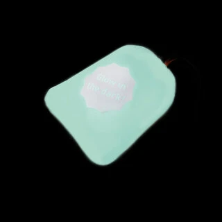 Курточка для собак AiryVest Lumi двусторонняя, светящаяся, размер XS 30, салатово-голубая